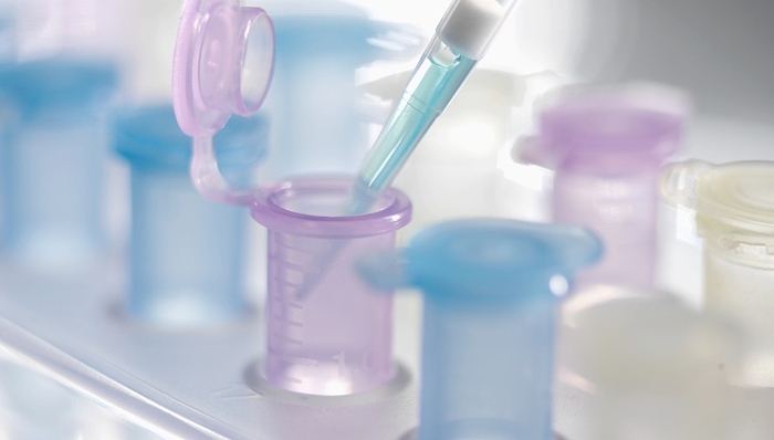 四环素,敏感菌,抗生素滥用,快速降解,酸碱度,纳米尺度,研制,耐药性,研究团队,生物安全