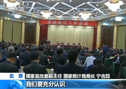 国家统计局,核算,国家发改委,2019年,资产负债表,改革,生产总值,统计体系,贯彻执行,党中央