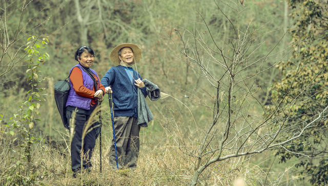 烟火人情里的四个春天：“温柔能带来世上最美好的东西”