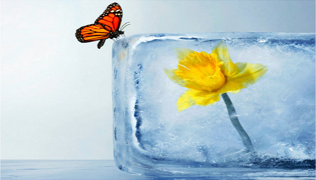 改革开放,企业家,创新模式,娃哈哈,方太,宗庆后,华为,中国企业