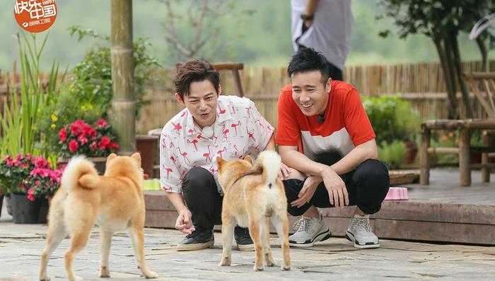 收视率,diss,湖南卫视,电视观众,电视平台,大小年,数据控,浙江卫视,大时代,东方卫视