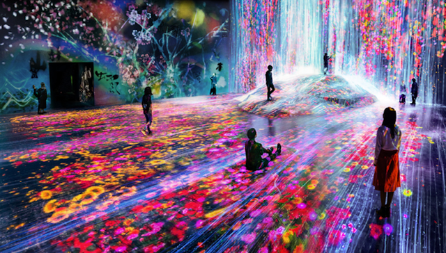 走入teamLab源起地东京两大展，揭秘teamLab凭什么圈粉无数？
