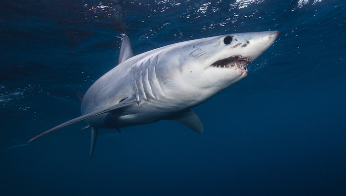 天下故事,惊奇的发现