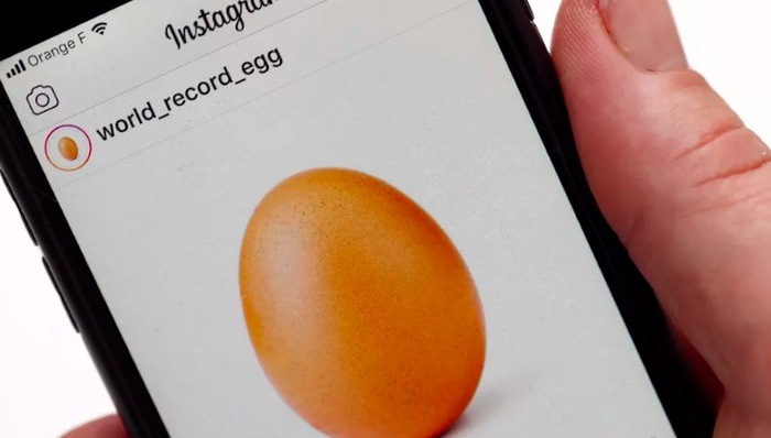 一颗神秘鸡蛋成了Instagram新晋网红，人类的本质是复读机？
