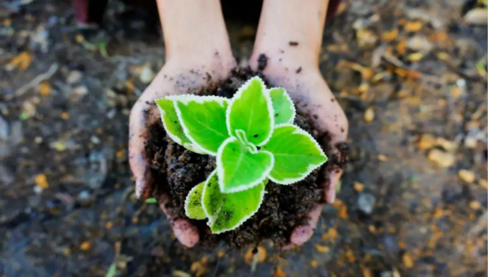 区块链,公益,慈善,透明度