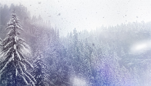 业绩寒冬，基金经理离职潮提前来临