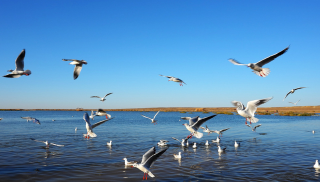 2018年污染环境罪数量下跌背后：隐秘的地方保护