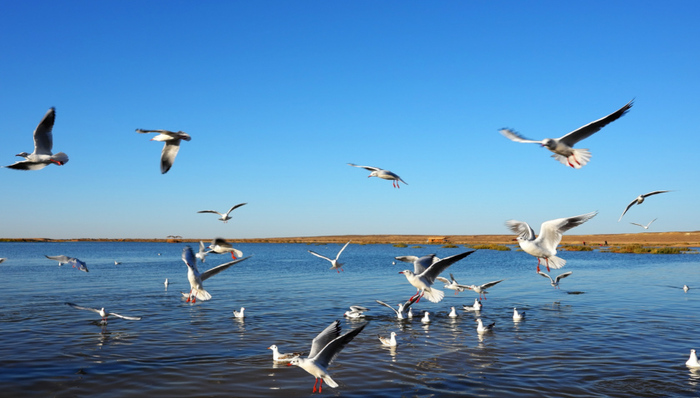 2018年污染环境罪数量下跌背后：隐秘的地方保护