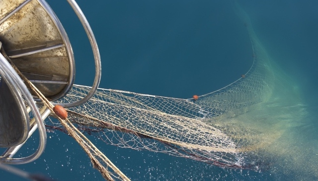 农业农村部,长江流域,重点水域