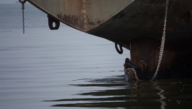 东山海域,货船进水