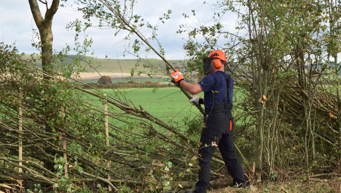 英国,欧洲,传统文化,乡村