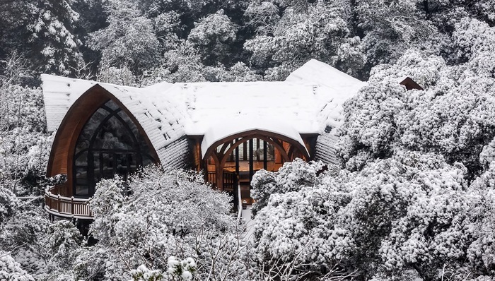 【首席体验官】在冬季杭州的“大自然”里体验一场夏日乐趣