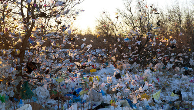 中央农办,农业农村部,18部门,村庄清洁行动