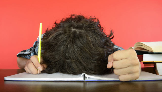 教育,出版,国际学校,寒假作业