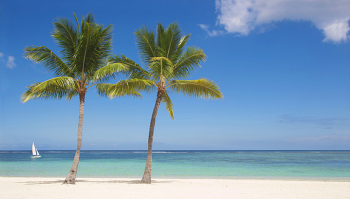 保利地产,碧桂园,项目用地,接盘,用地规划,项目编号,溢价,用地性质,项目投资,演艺