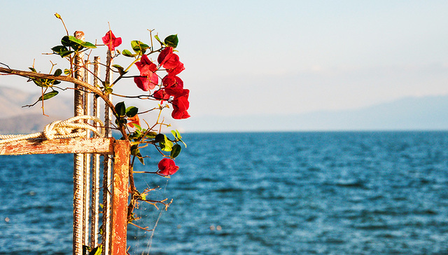 拆掉洱海民宿：环保令背后的挣扎与矛盾