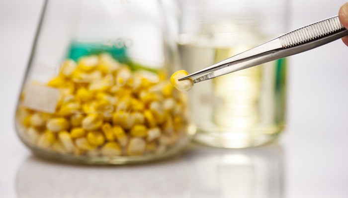 农业农村部,转基因