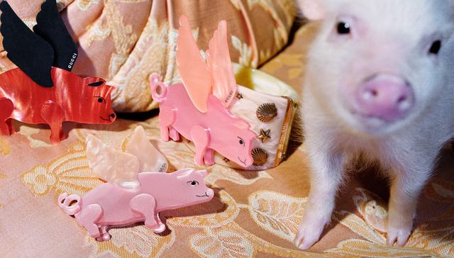 【春节特供·过节指南】猪年怎么“穿猪”？