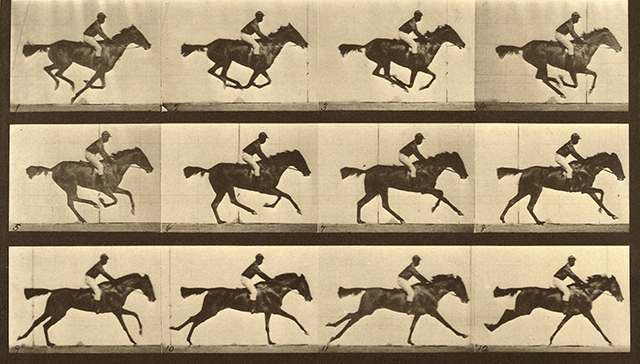 摄影编年史：摄影如何成为记录世界的主要形式