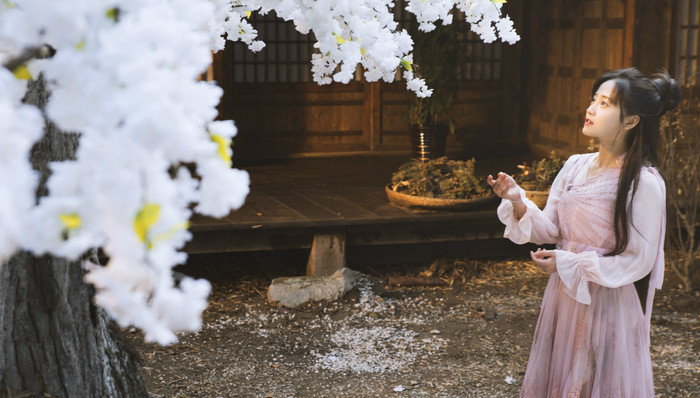 网剧,延播,播出,陈乔恩,春节联欢晚会,寒假,剧集,青春有你,东宫,档期