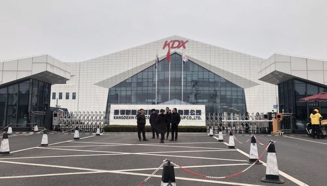 康得新,钟玉,财务造假