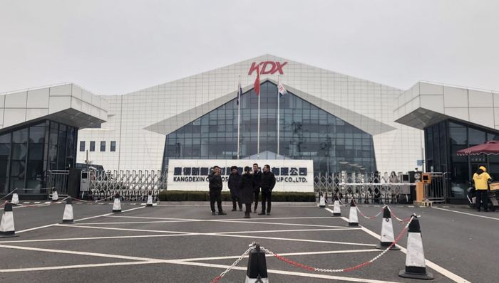 康得新,钟玉,财务造假