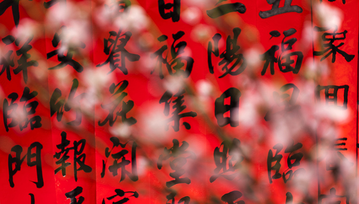 贴春联,主干道,呼和浩特市区,城管工作,城管局,商铺,清理,墙面,街景,传统民俗