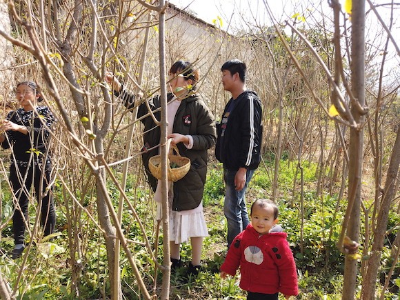 【春节特供·小镇青年】返乡设计师娇子：大山里的快手网红