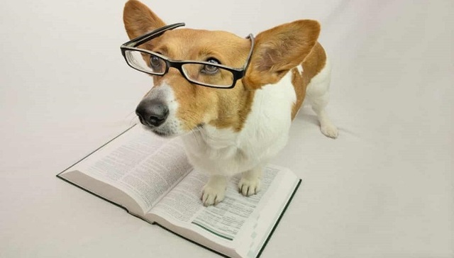 牛津词典呼吁各行业公众帮忙贡献、解释职场俚语