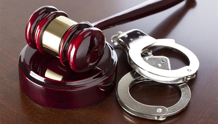 犯罪案件,非法集资,检察机关,集资诈骗罪,非法吸收公众存款罪,犯罪手段,犯罪活动,起诉,案件数量