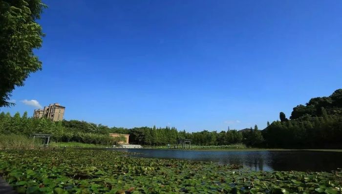 环境,太湖,水质