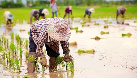 人民银行等五部门联合发布《关于金融服务乡村振兴的指导意见》