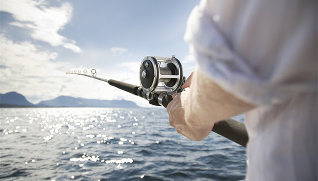 春节假期里，移民圈发生了这些事