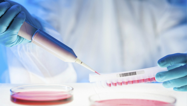 癌症,陈小平,疟原虫