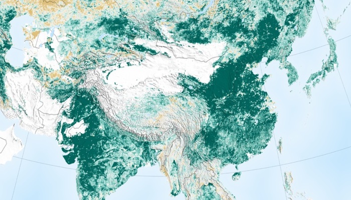 NASA,绿化,绿色,自然,直觉,科学家,杂志网站,谢谢,惊艳,染黄