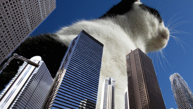 人去楼空，动物踞守：卡尔维诺的城市寓言