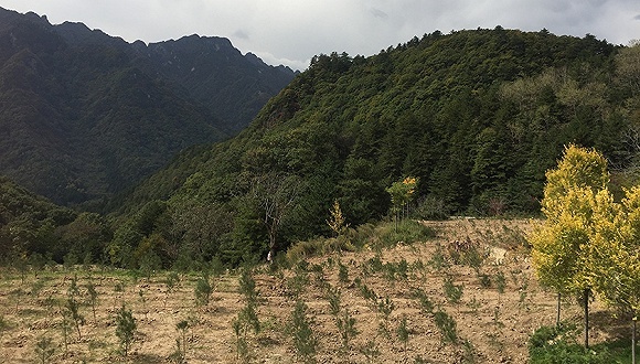 石家庄“削山造地”1800亩建别墅调查