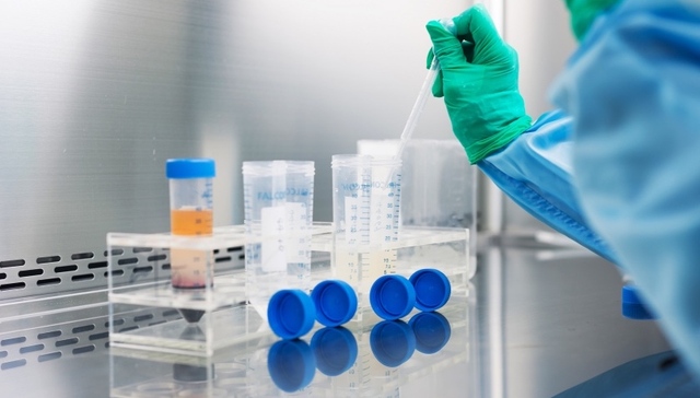 陈小平团队回应“疟原虫项目被叫停”：仍在正常进行