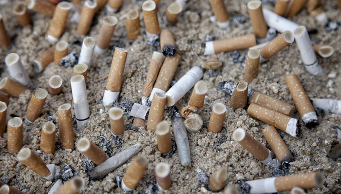 商洛市政协,公共场所,酒店卫生,壁虎,个人信息,圈子文化,学术传承,庐山,残疾人黑出租