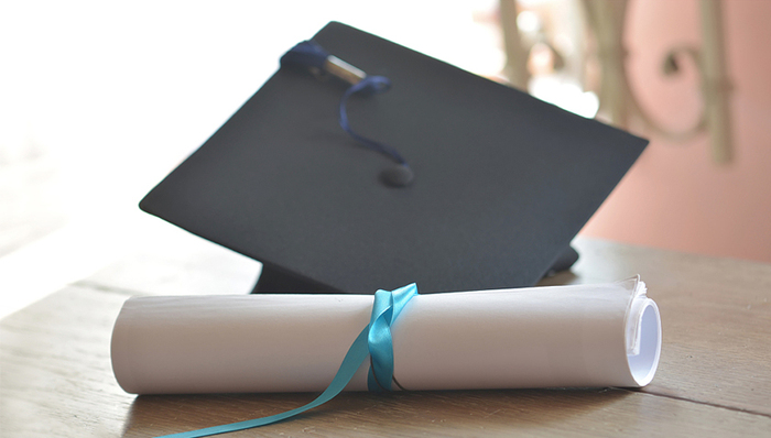 康强电子,弃权,关联