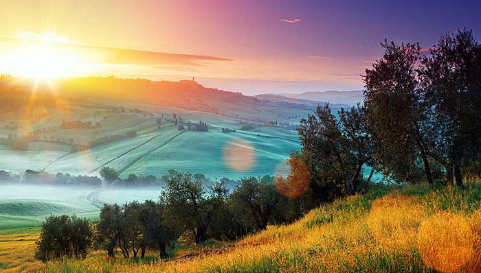 乡村治理,一号文件