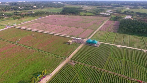 一号文件释放四大信号：不得以退出承包地和宅基地作为农民进城落户条件