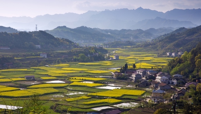 中央一号文件：攻关农业关键核心技术，拓宽农民增收渠道