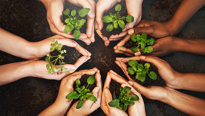 环境污染,认定问题