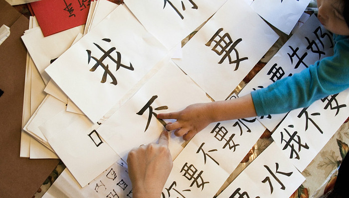 教育,语文