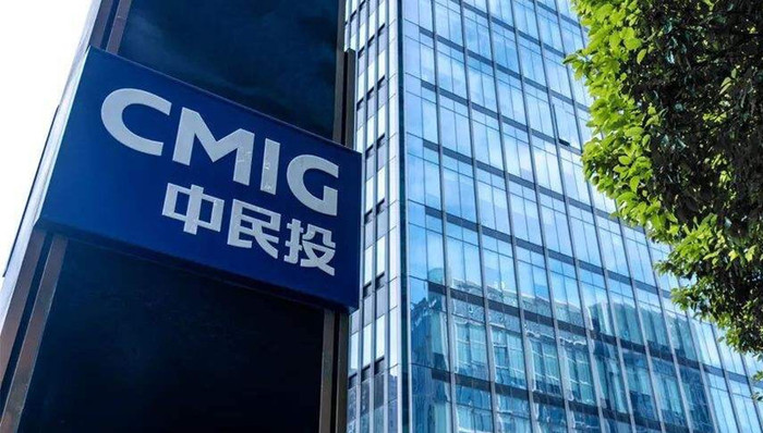 中民投,董文标