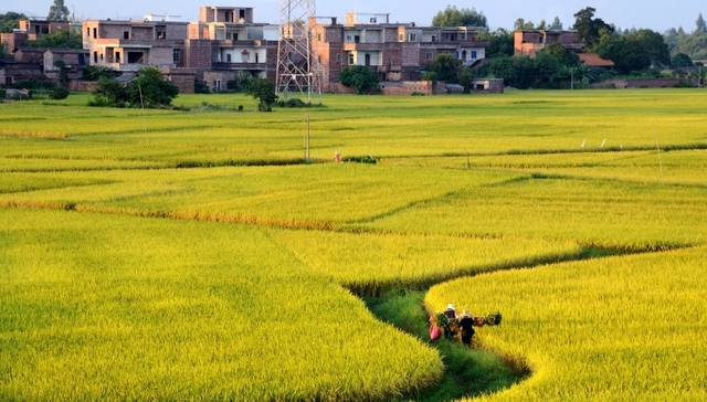 农业农村部,土地征收,建设用地