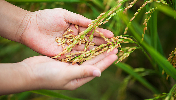 【界面晚报】促进小农户和现代农业发展有机衔接意见发布 普京强势警告美国
