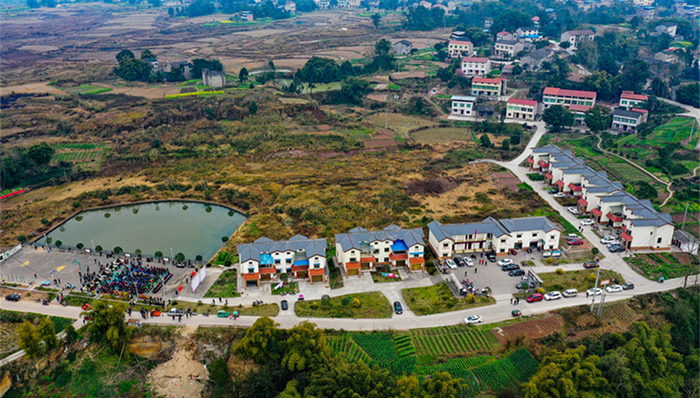 三农,种地,中央一号文件,惠农政策,秋玉米,涉农资金,种植,加工,放苗,新立镇