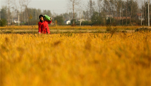 “两权”抵押贷款试点拟不再延期后，农房政策将何去何从？